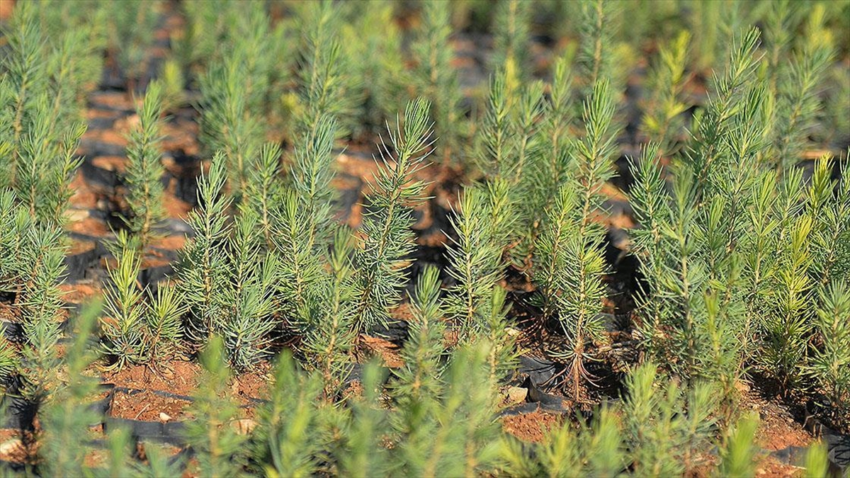 Türkiye, Dost Ve Kardeş Ülke Azerbaycan'ın Da "Geleceğine Nefes" Oluyor