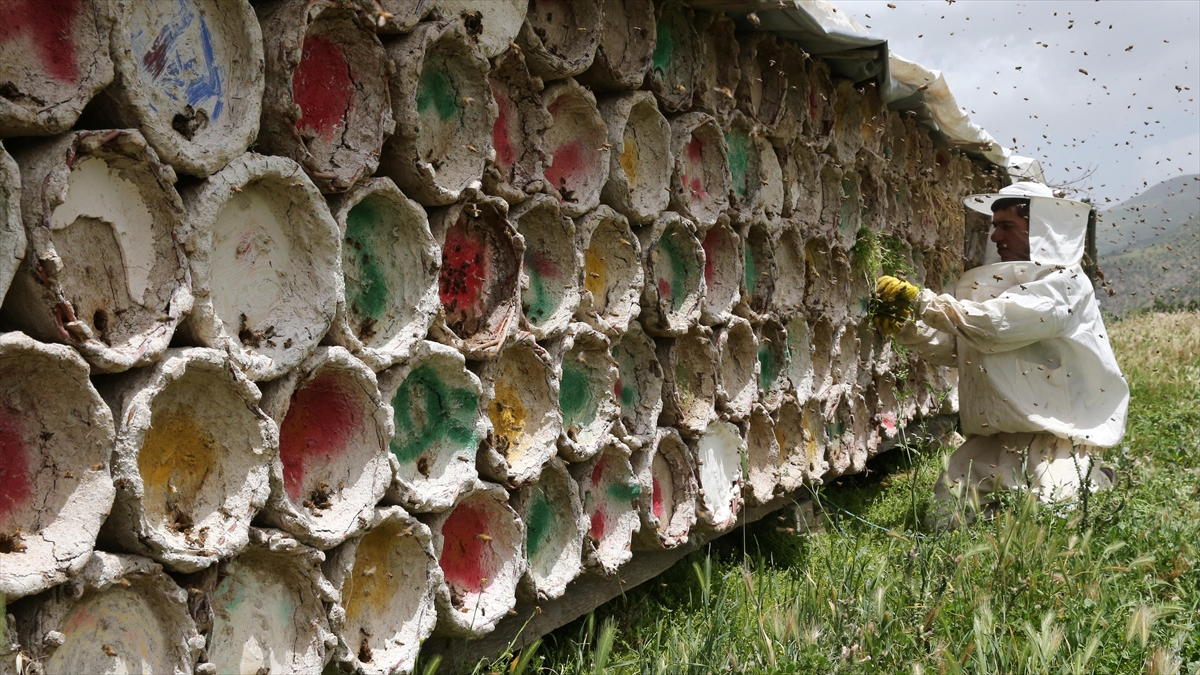 Gezgin Arıcılar Hizan'ın Zengin Floralı Yaylalarında Bal Mesaisinde