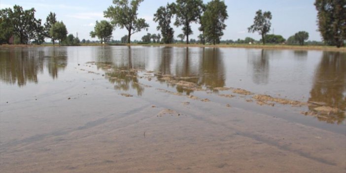 İtalya'da Aşırı Yağışlar, Tarım Arazilerinde Ekim Yapılmasına Engel Oluyor