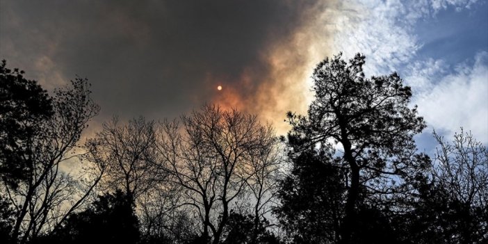 Abd'nin New Mexico Eyaletinde Dün Başlayan Orman Yangınları Nedeniyle Ohal İlan Edildi