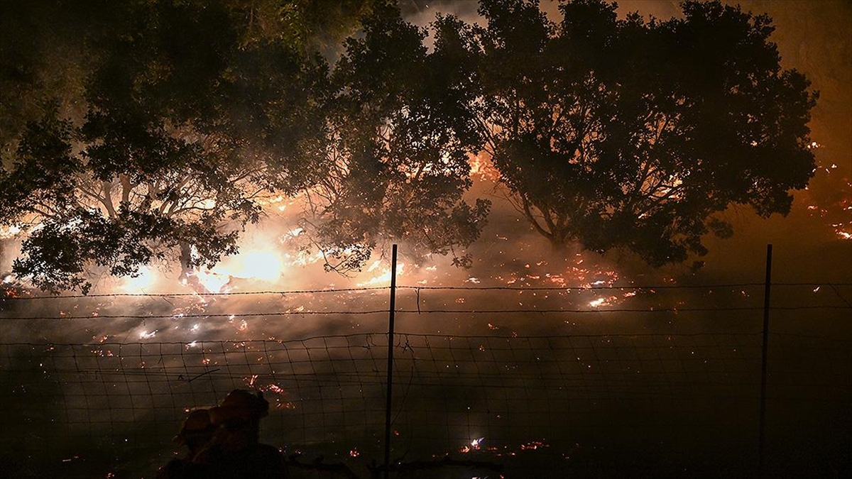 Abd'nin New Mexico Eyaletindeki Orman Yangınlarının Söndürülmesi İçin Umutlar Beklenen Yağmurda