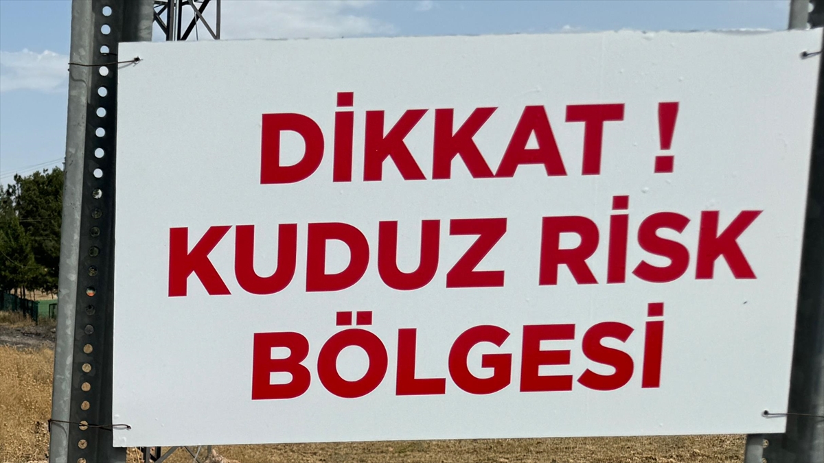 Niğde'de Sahipsiz Köpeğin Bir Kişiyi Isırdığı Mahallede Kuduz Karantinası Başlatıldı