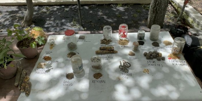Ata Tohumlarını Gelecek Nesillere Aktarmak İçin Ücretsiz Dağıtıyor