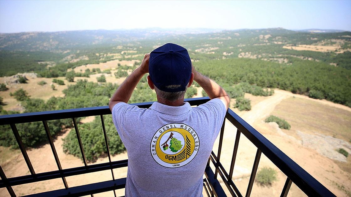 Trakya'da Ormanlar Yangınlara Karşı 18 Kuleden Gözetleniyor