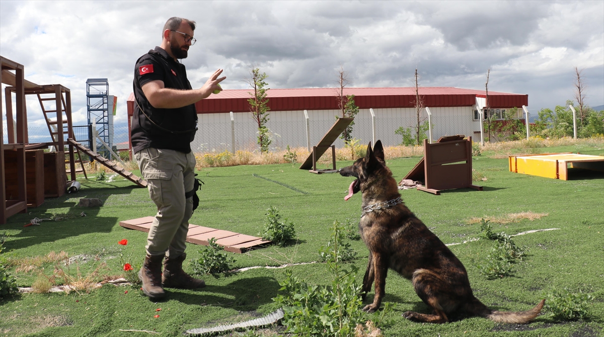 Ego, Anne-babası Gibi Arama Kurtarmada Kahraman Olmaya Hazırlanıyor