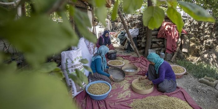 Tunceli'de 1500 Dekarda Üretilen Tescilli Dut, Köylülerin Geçim Kaynağı Oldu
