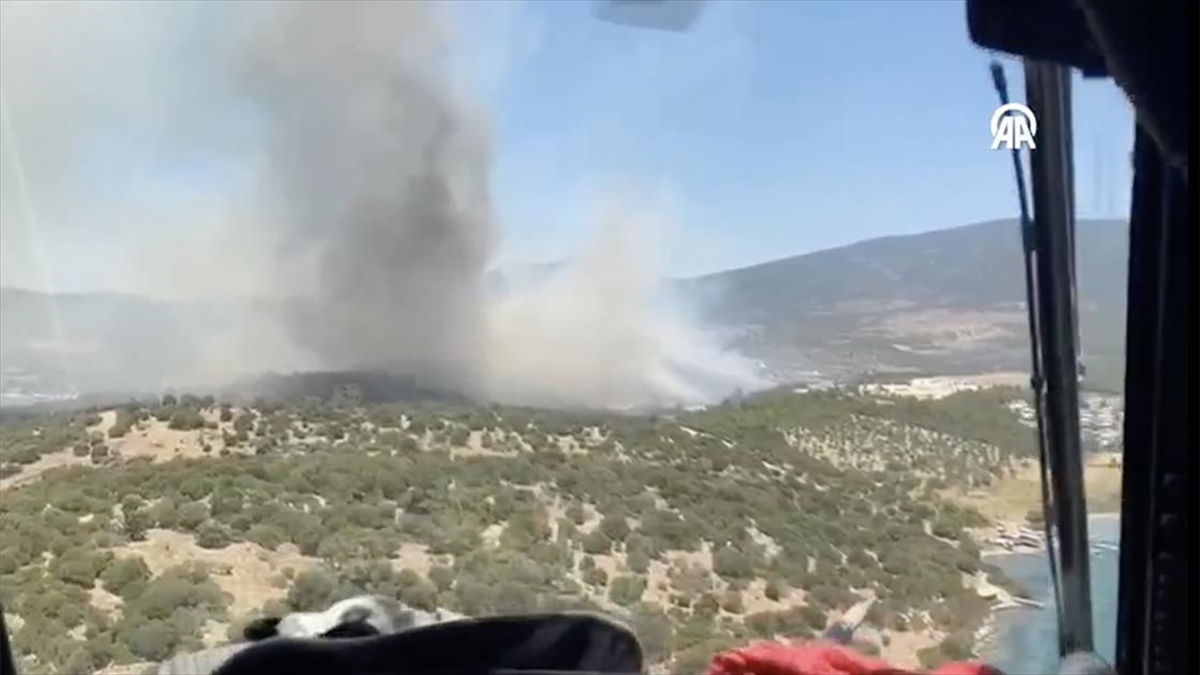 Muğla'nın Milas İlçesinde Orman Yangını Çıktı