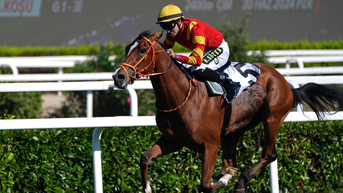 98. Gazi Koşusu'nu "Dragon Flame" Kazandı