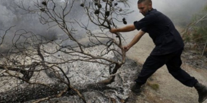 İsrail'den Lübnan'ın Güney Sınırındaki Ormanlara Yangın Bombası