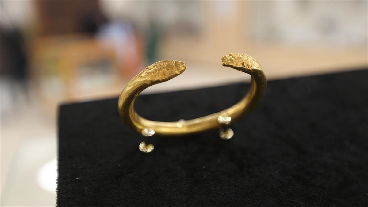 Ani'den 22 Yıl Önce Çıkarılan "yılan Başlı" Bilezikler Müzede Yerini Aldı