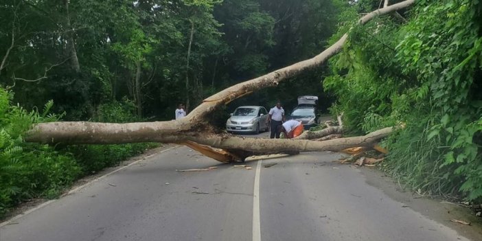Bm'ye Göre, Karayipler'i Etkisi Altına Alan Beryl Kasırgası'ndan 260 Binden Fazla Kişi Etkilendi