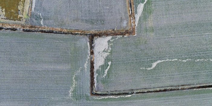 Devlet Destekli Tarım Sigortalarında Son 5 Yılda En Fazla Ödeme "don" Hasarlarına Yapıldı