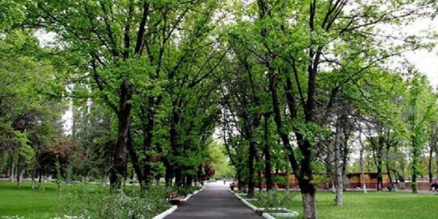 AOÇ Arazileri Açık Artırmayla Kirada