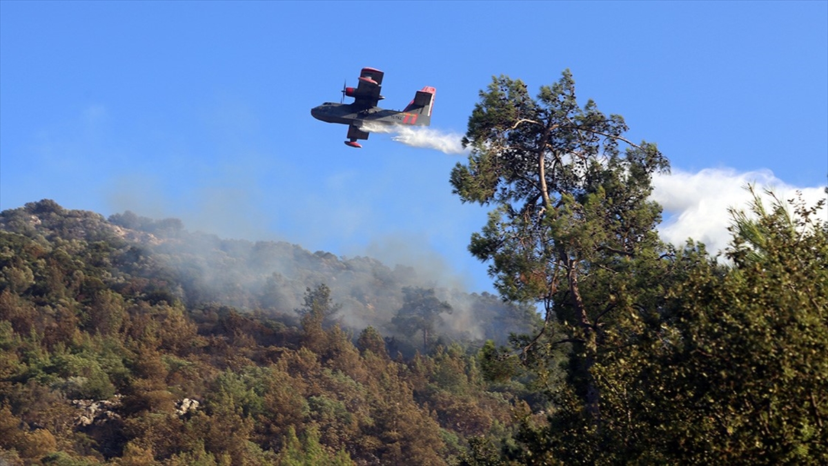 Bodrum'daki Orman Yangını Kontrol Altına Alındı