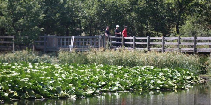 Seviyesi Düşen Nilüfer Gölü'ne Günlük 10 Ton Su Aktarılacak