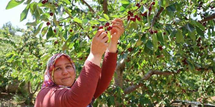 Lezzeti ülke sınırlarını aştı dalında 10 markette 140 TL
