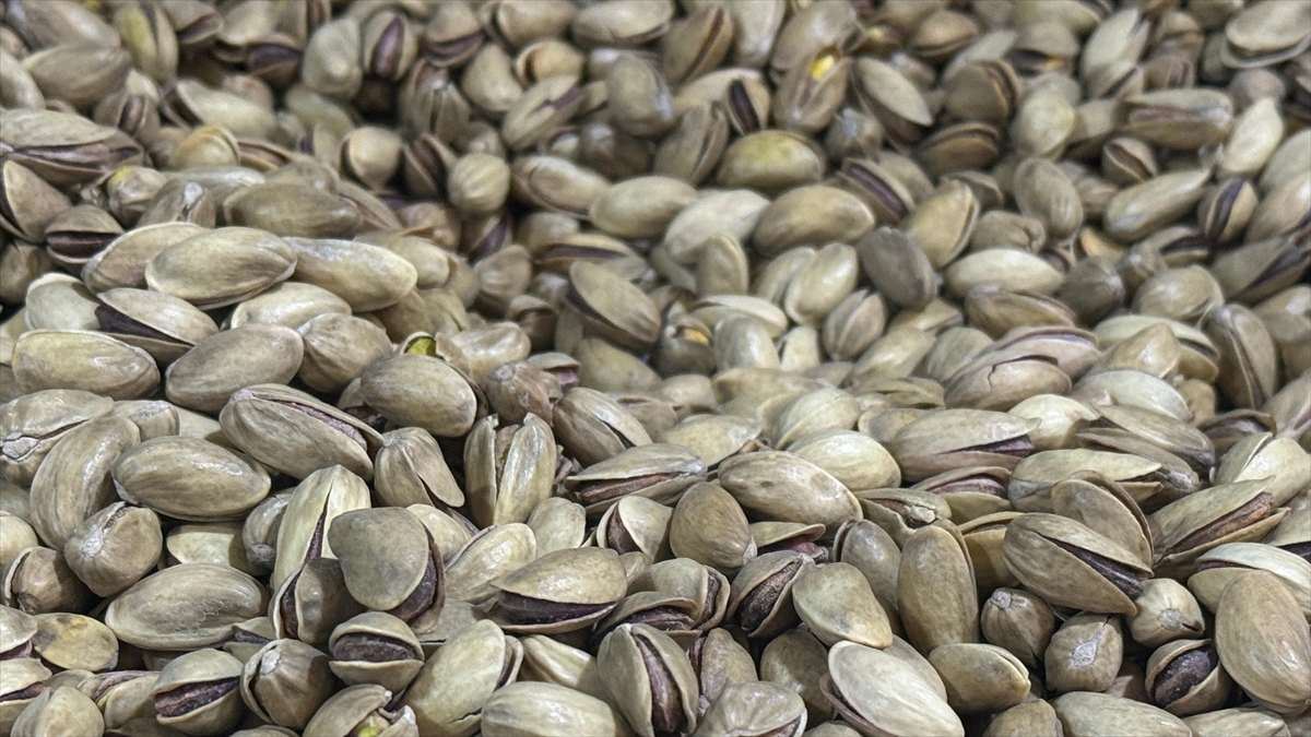 Türkiye'den 6 Ayda 96,6 Milyon Dolarlık Fıstık İhraç Edildi