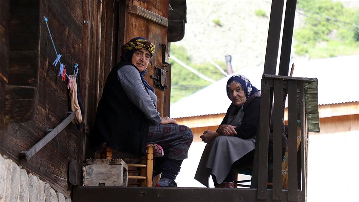 Kaçkar'daki Yaylanın Kadınları Yarım Asırdır Hayvancılık Yapıyor