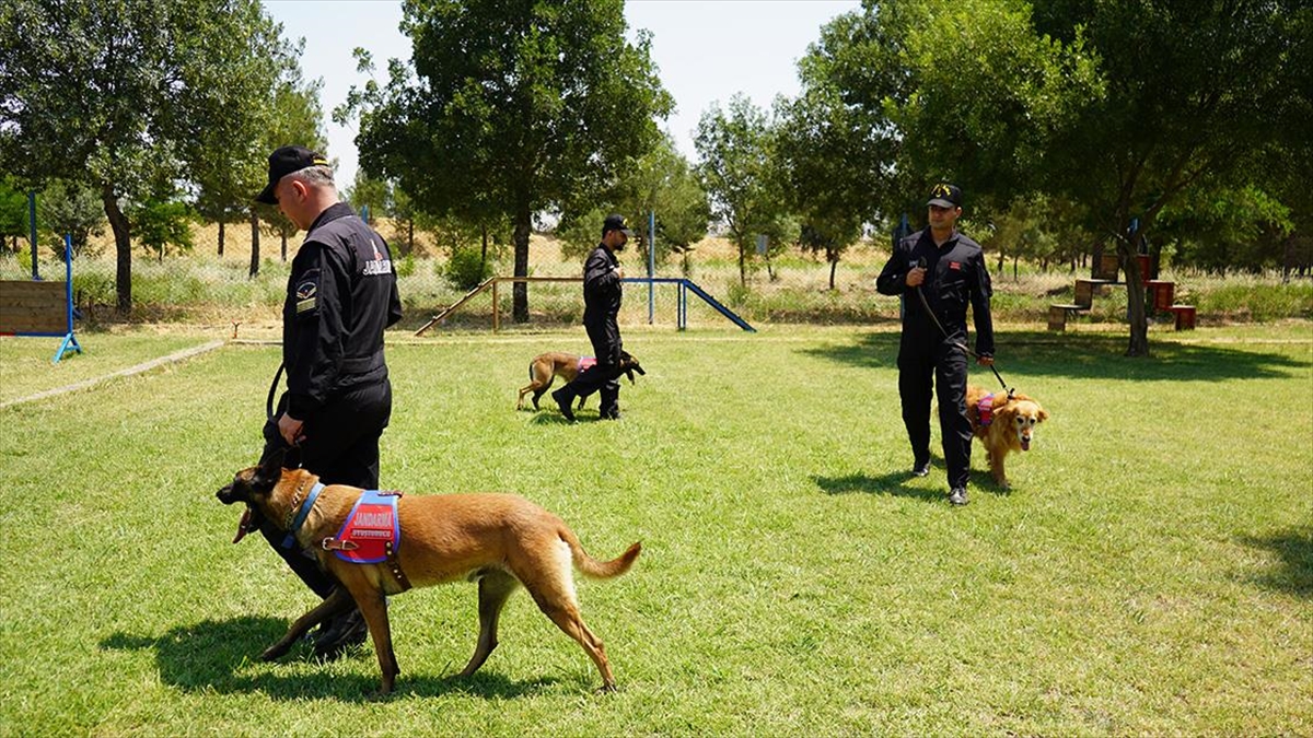 "zümre", "batik" Ve "garip" Uyuşturucu Operasyonlarında Jandarmaya Güç Katıyor