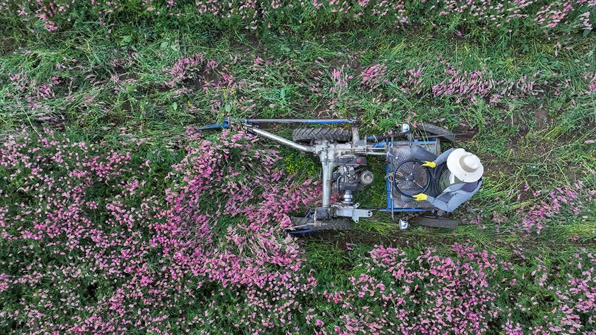 Tarım Sektöründen İhracatta İlk Yarı Rekoru