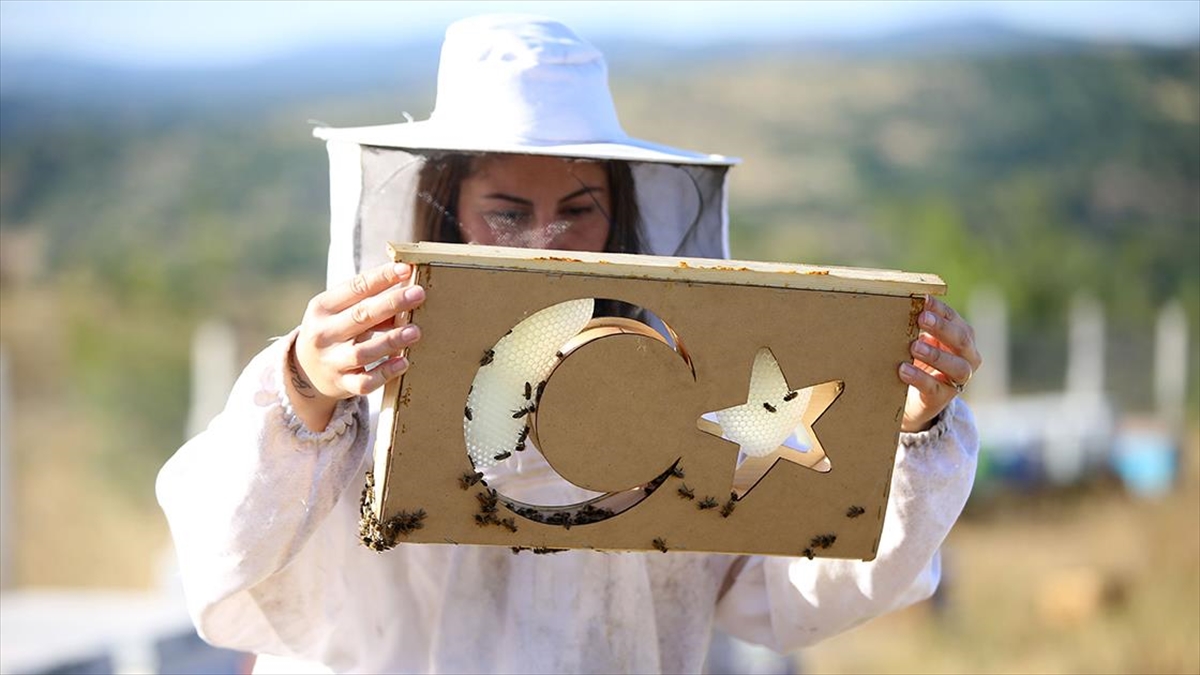 Şekilli Peteklerle Sattığı Coğrafi İşaretli Meşe Balının Tanıtımına Katkı Sunuyor