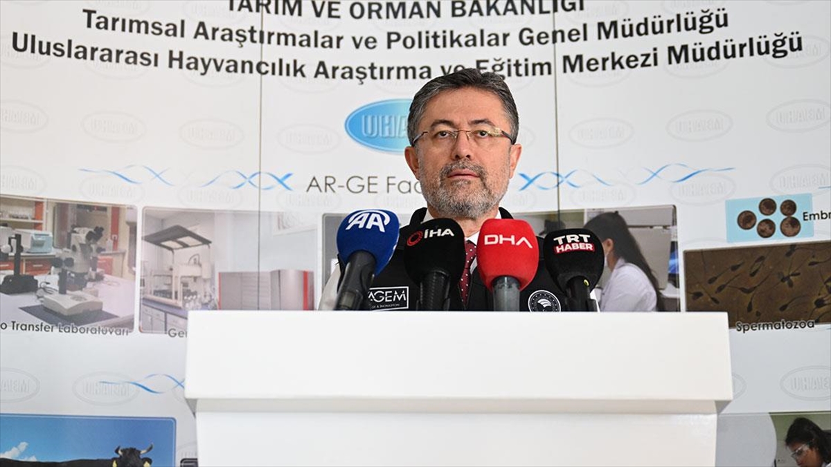 Hayvancılıkta Yeni Destekleme Modeli Hazır