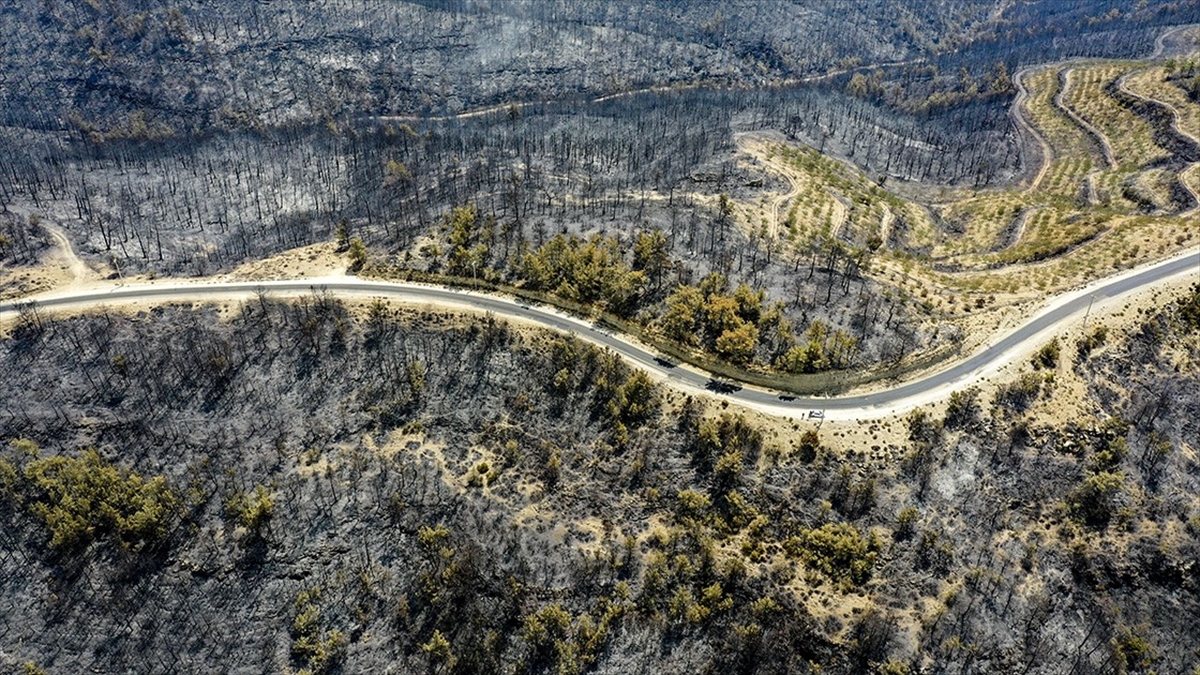 İklim Krizi Yangın Rejimini Değiştirirken Orman Yangınları Isınmayı Artırıyor