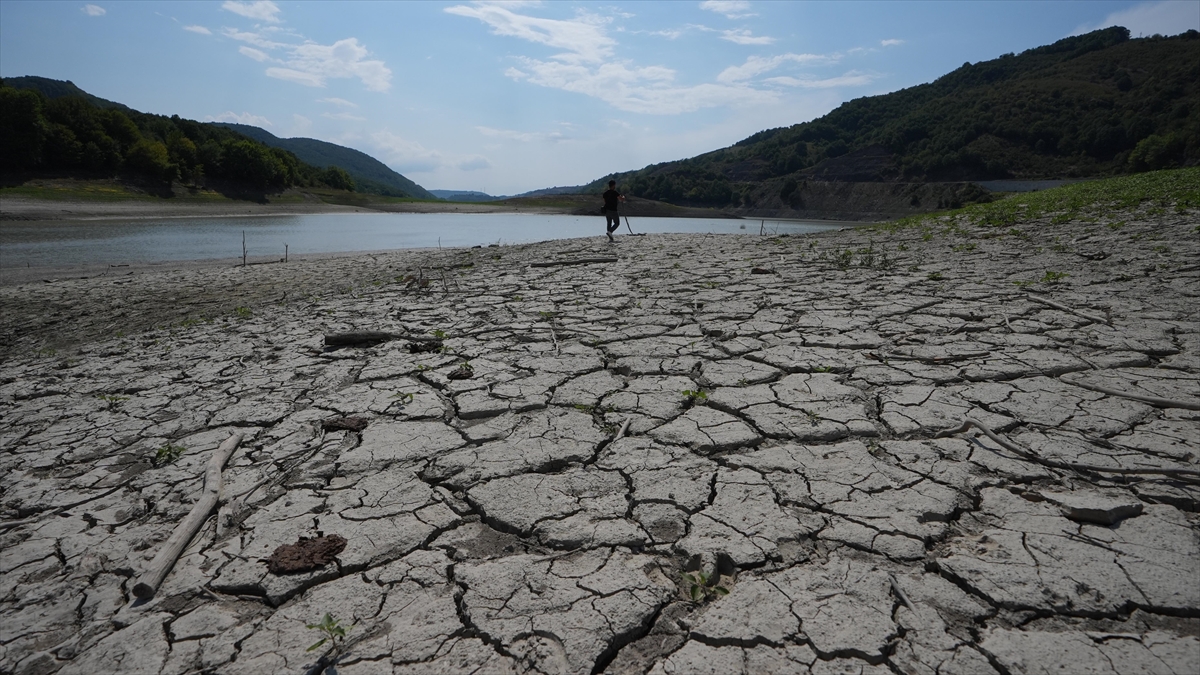 Batı Karadeniz'de Mevsimsel Kuraklık Tarımsal Üretim Alışkanlığında Değişim Sinyali Veriyor