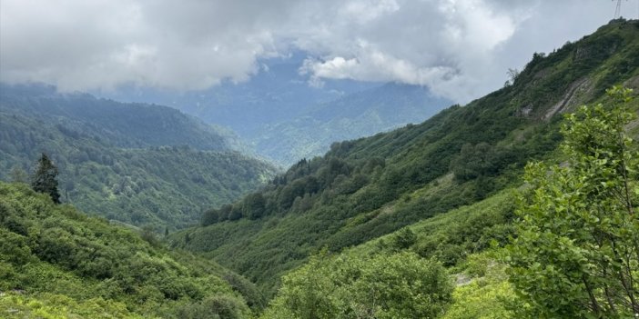 Türkiye'nin Tek Biyosfer Rezerv Alanı Camili Havzası Kültürel Ekolojik Gezilerin Rotasında