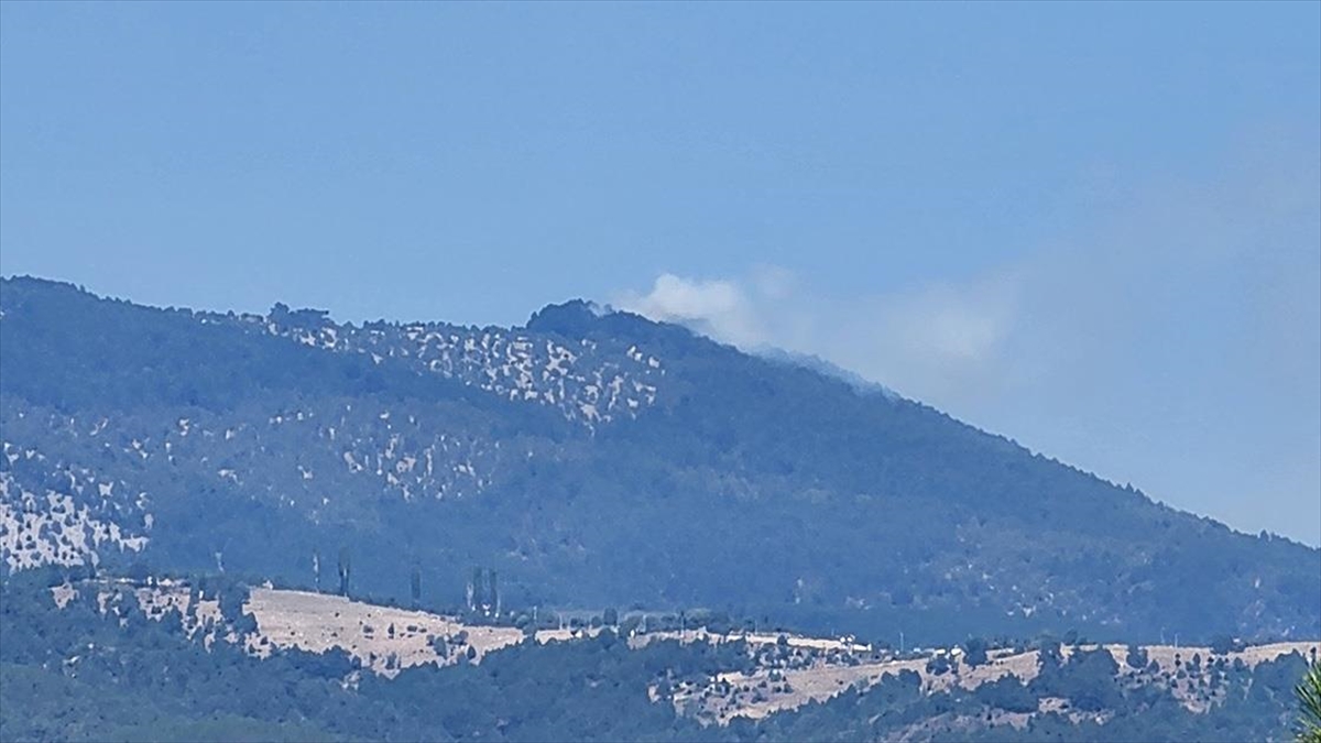 Bursa'da Ormanlık Alanda Çıkan Yangına Müdahale Ediliyor