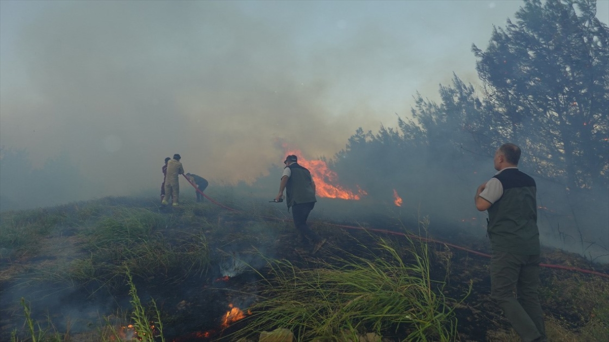 Adana'da Çıkan Orman Yangını Kontrol Altına Alındı