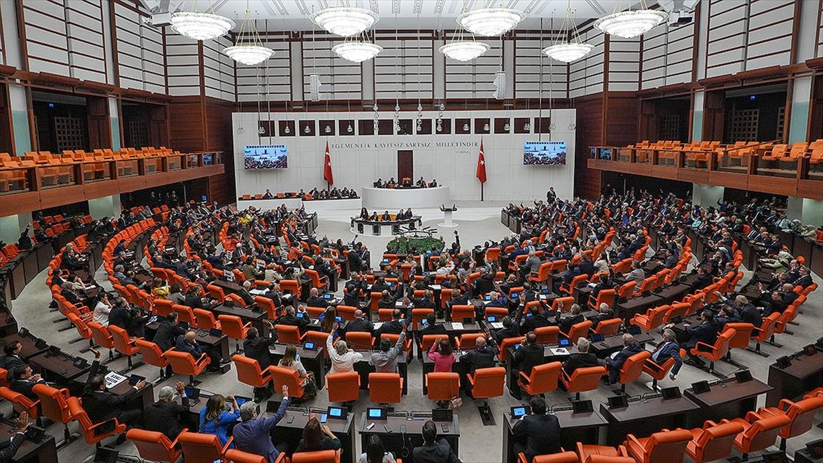 10 Soruda Tbmm'de Kabul Edilen Sahipsiz Hayvanlara Yönelik Düzenleme