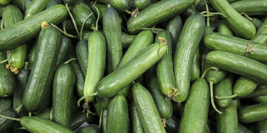 Ağustos Ayının Zam Şampiyonu Salatalık Oldu