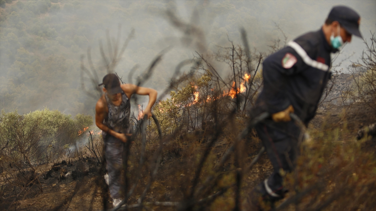 Cezayir'de 9 Vilayette Çıkan Yangınları Söndürme Çalışmaları Sürüyor