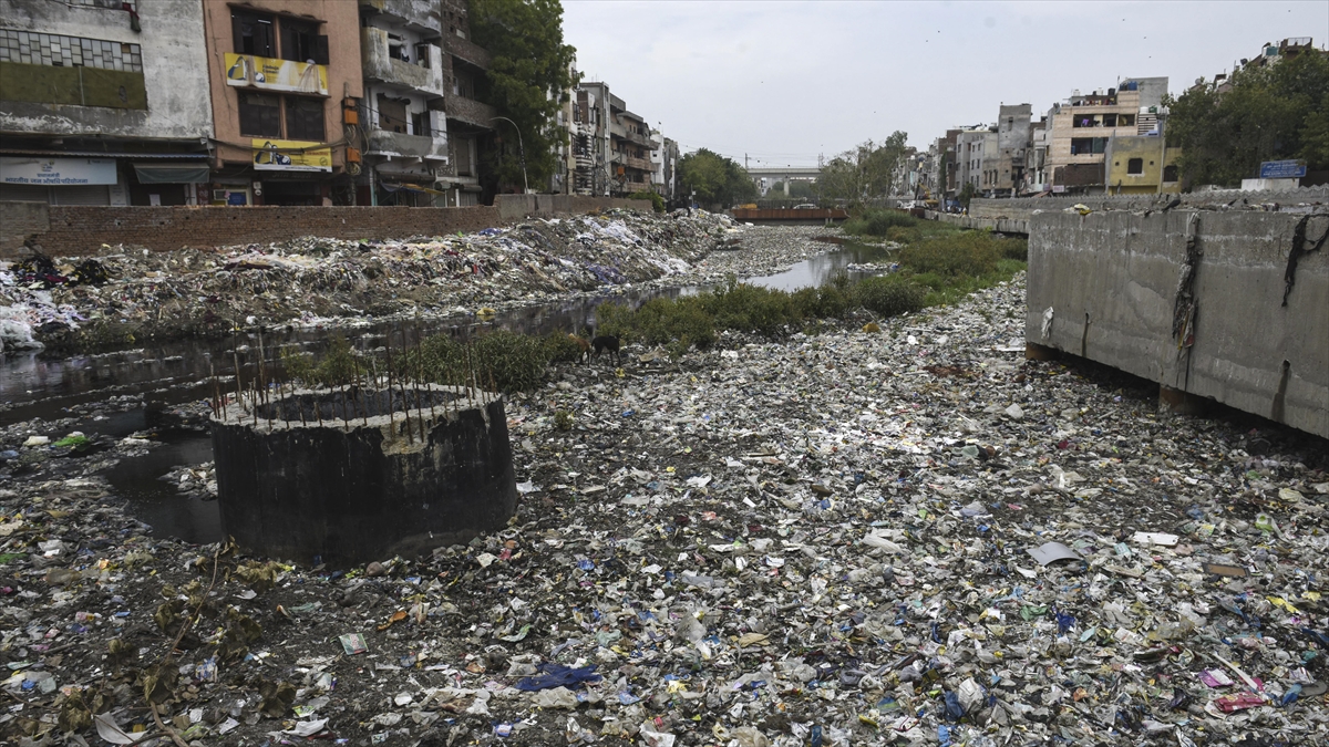 Hindistanlı çocuk ölüm oranı yüzde 97 olan 'beyin yiyen amip' hastalığını yendi