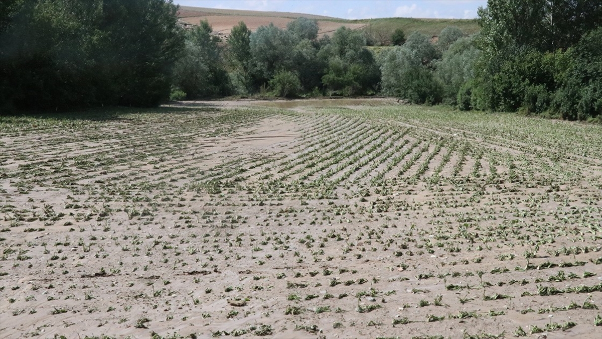 Yozgat’ta afetten zarar gören çiftçilere 35 milyon TL destek