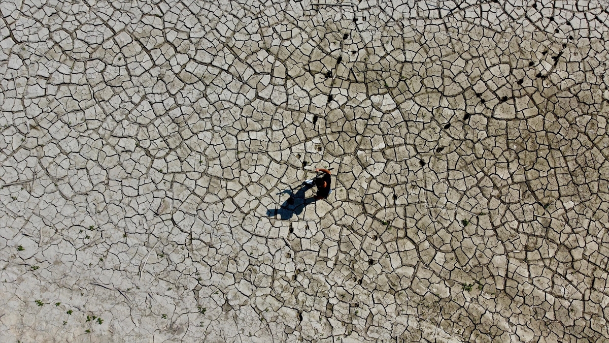İklim Değişikliği Konusunda Endişeli Olanların Sayısı Artıyor