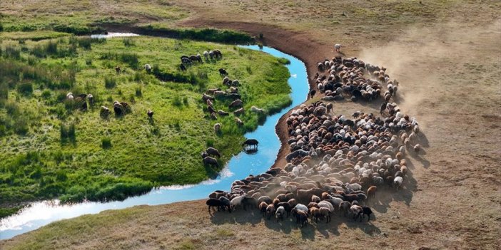 Şerafettin Yaylası Doğal Güzellikleriyle Yılın 6 Ayı Göçerleri Ağırlıyor