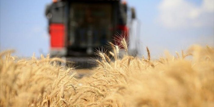 Fao: Küresel Gıda Fiyatları Temmuzda Da Değişim Göstermedi