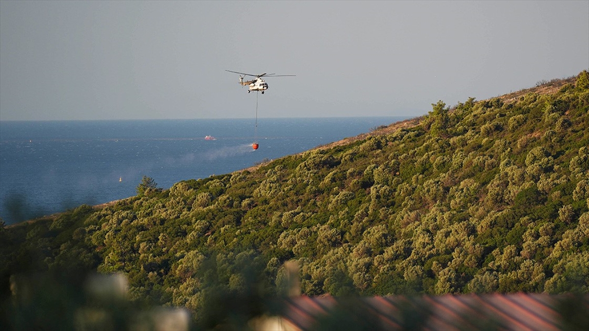 Orman Yangını Sayısı Artarken Etkilenen Alan Azalıyor