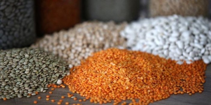 Hububat İhracatı Yılın İlk 7 Ayında 6,8 Milyar Dolar Oldu