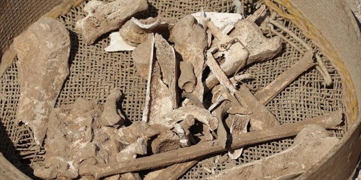 Amasya'da 2 Bin Yıllık Olduğu Değerlendirilen İnsan Kemikleri Bulundu
