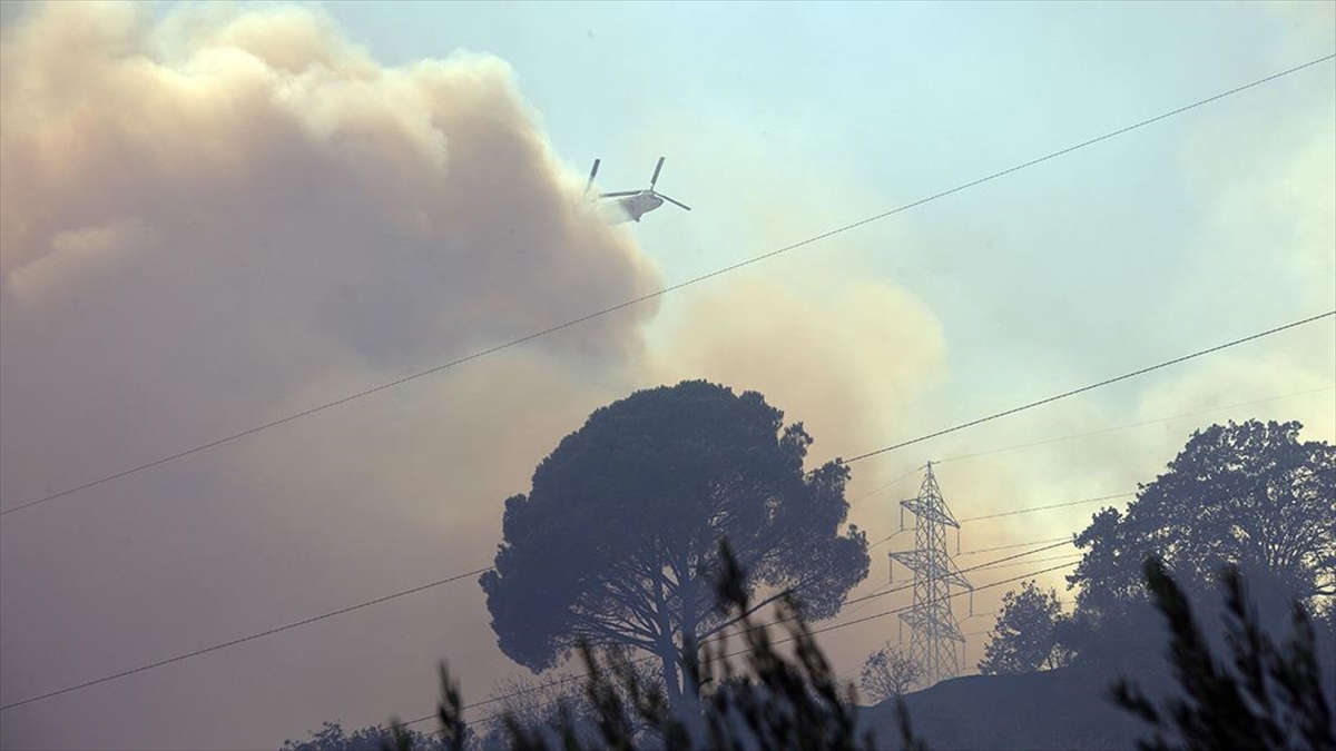 Aydın'da Zeytinlik Ve Ormanlık Alanda Çıkan Yangına Müdahale Sürüyor