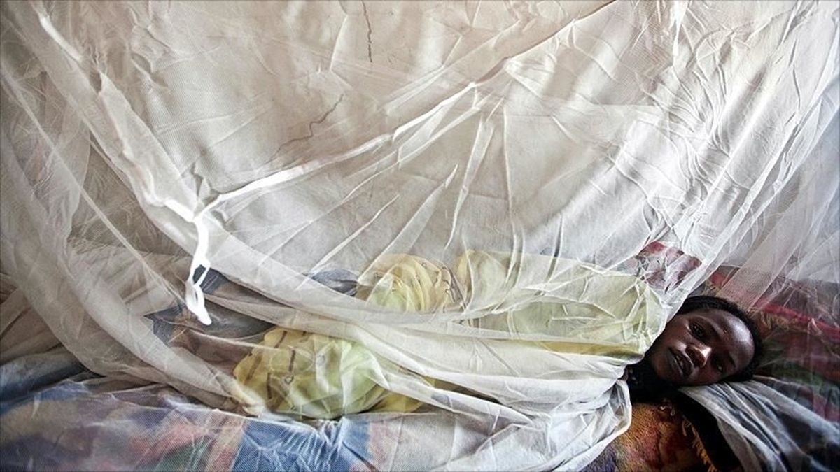 Nijerya'da Lassa Ateşi Nedeniyle Hayatını Kaybedenlerin Sayısı 163'e Çıktı