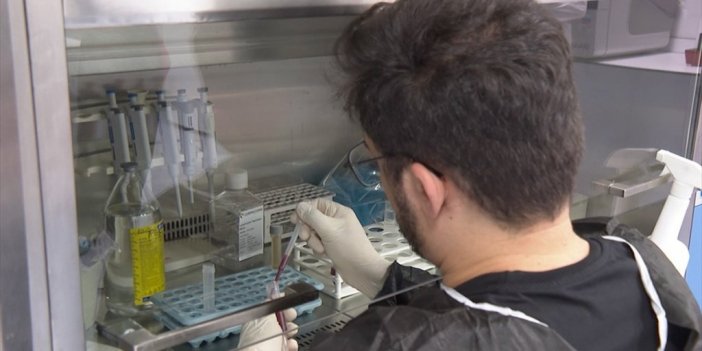 "chaple Sendromu"nu Dünya Tıp Literatürüne Kazandıran Türk Doktora Ödül