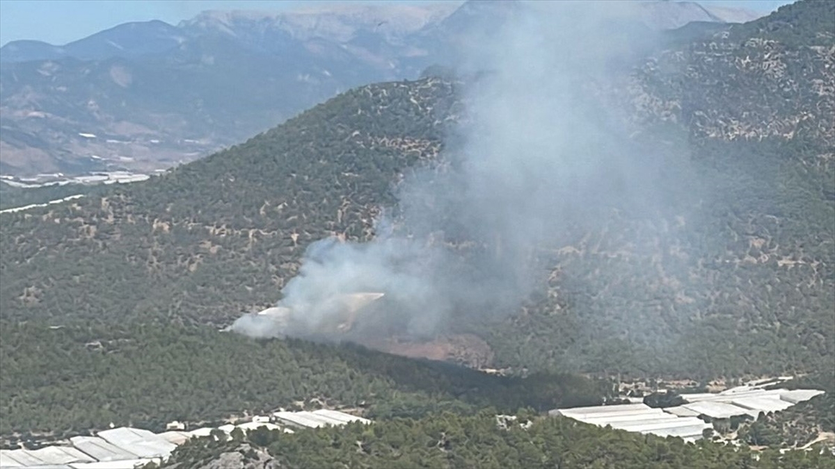 Mersin'de Orman Yangını Çıktı