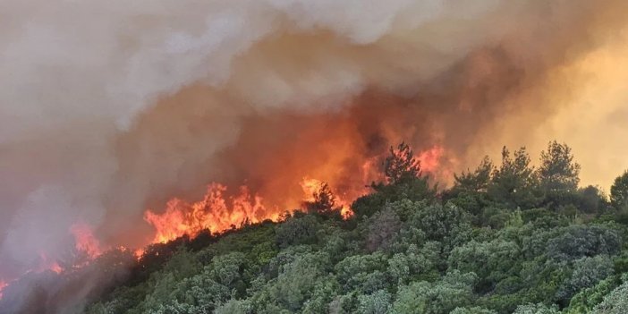 Manisa ve Çanakkale’de orman yangını