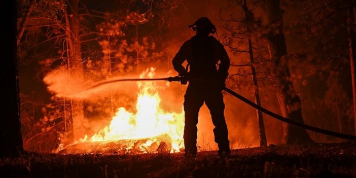 İklim Değişikliği, 2023'te Orman Yangını Olasılığını Ve Şiddetini Büyük Ölçüde Artırdı