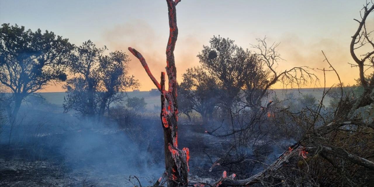Çorum'da Çıkan Anız Yangınında Yaklaşık 3 Bin 500 Dekar Tarım Alanı Zarar Gördü