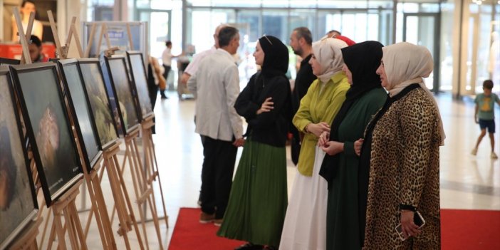 Sakarya'da Sapanca Gölü Su Altı Fotoğraf Sergisi Açıldı